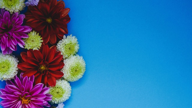 争夺上表现 争夺上表现