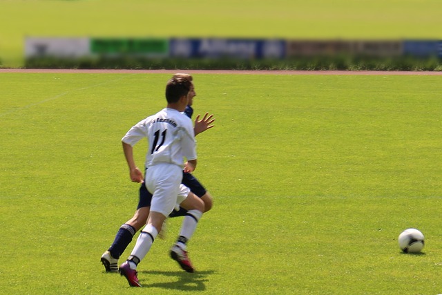 有很多著名 有很多著名