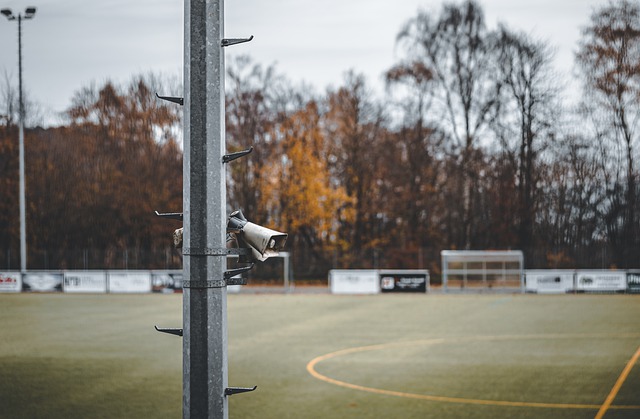 無疑為這些 無疑為這些